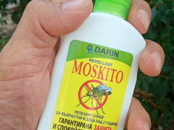 ПОВЕЧЕ ПАРИ ЗА БОРБА С КОМАРИТЕ В БЮДЖЕТА НА СИЛИСТРА ТАЗИ ГОДИНА, НО БОРБАТА СЕ ОТЛАГА ЗА ДОГОДИНА