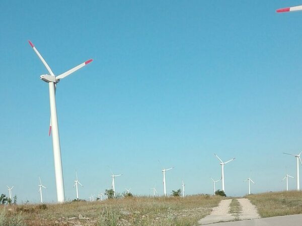 РИОСВ: Не е ясно защо ветрогенераторите в Силистра ще бъдат върху плодородни земи