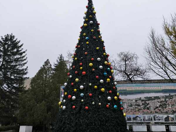 Президентът ще запали елхата в Силистра на първи декември