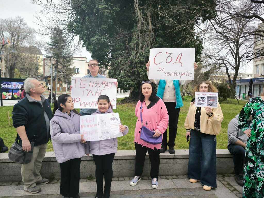 В Силистра протестираха против насилието над животните
