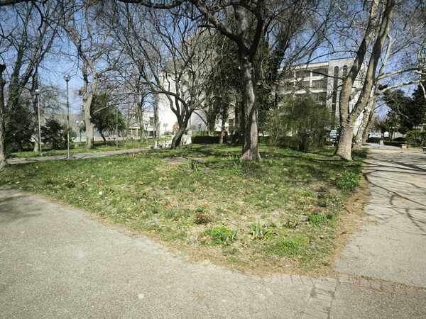 Предстои ли застрояване на част от Дунавския парк в Силистра?