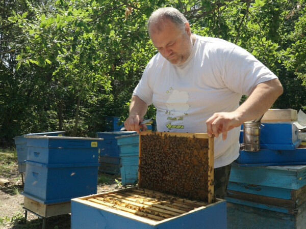 Пчелар отговаря отскоро за управлението на депото за отпадъци край Силистра