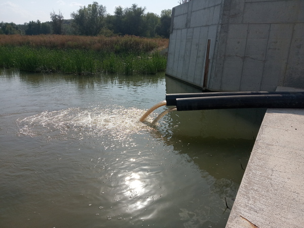 Почти без промяна остава нивото на водата в езерото Сребърна, въпреки преливането на вода от Дунав(Видео)