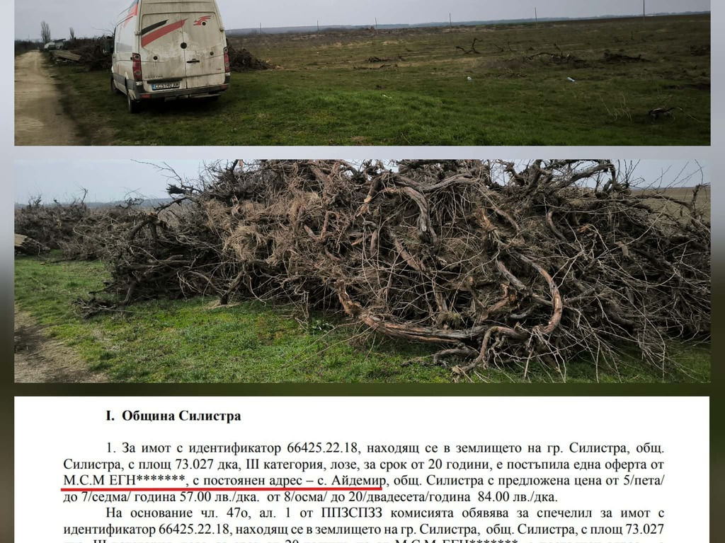 Кои са двамата арендатори от Айдемир, наели стотици декари държавна земя край Силистра и които изкореняват лозя 