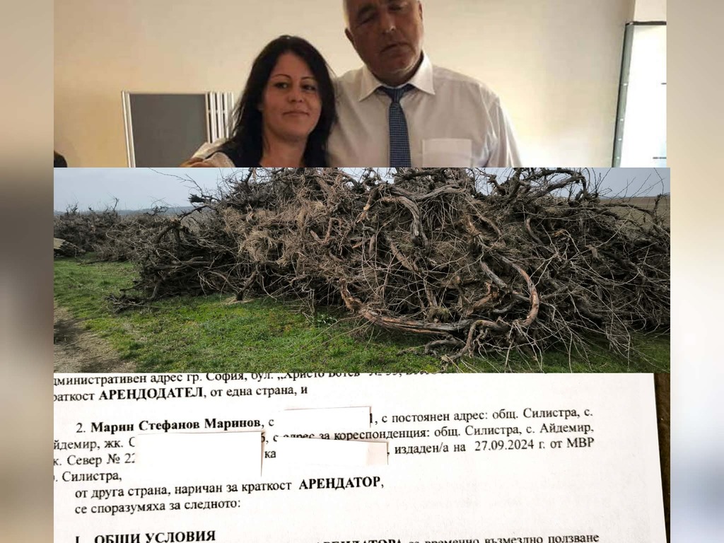 Кайсиеви градини ООД: Как синовете на Гинка Катева взеха стотици декари държавни земи под аренда за 20 години(Документи)