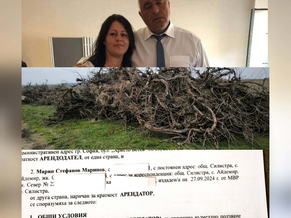 Кайсиеви градини ООД: Как синовете на Гинка Катева взеха стотици декари държавни земи под аренда за 20 години(Документи)